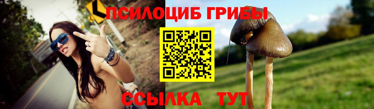 Галлюциногенные грибы прущие грибы Кохма